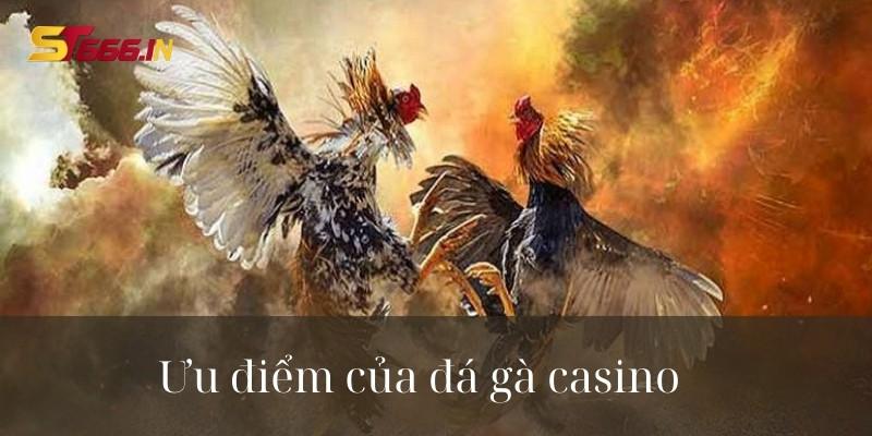 Lý do vì sao nhiều cược thủ lại yêu thích đá gà casino